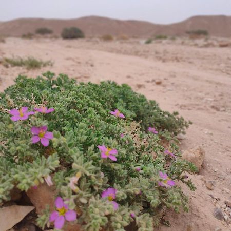 Desert Path Be'er Ora Eksteriør billede